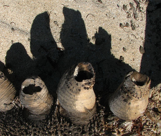 Image hébergée par Casimages.com : votre hébergeur d images simple et gratuit