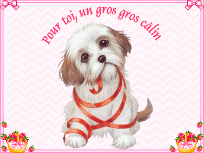 http://nsm01.casimages.com/img/2008/08/26//080826052111362172423031.gif http://nsm01.casimages.com/img/2008/08/26//080826052111362172423031.gif