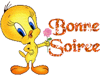 Image h�berg�e par Casimages.com : votre h�bergeur d images simple et gratuit