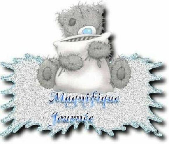 voir l'image en taille r�elle