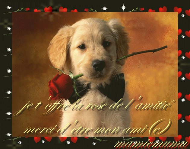 Image hébergée par Casimages.com : votre hébergeur d images simple et gratuit