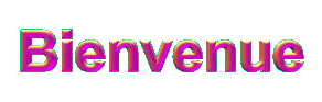 080826124945202562421810 dans
