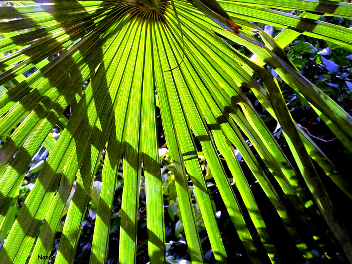 Image hébergée par Casimages.com : votre hébergeur d images simple et gratuit
