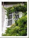 Cliquez pour afficher l'image en taille r�elle