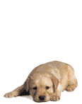 Image h�berg�e par Casimages.com : votre h�bergeur d images simple et gratuit