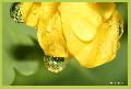 Hebergement gratuit d image et photo
