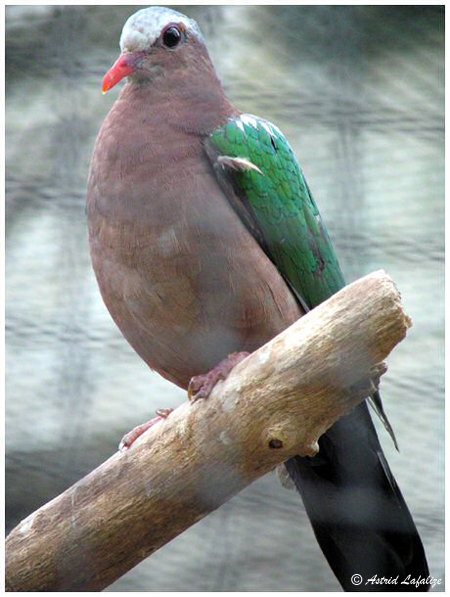 Image hébergée par Casimages.com : votre hébergeur d images simple et gratuit