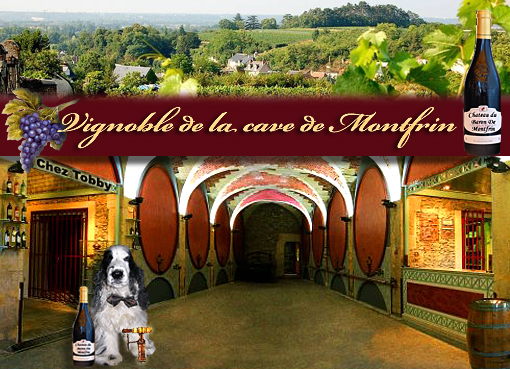 Image hébergée par Casimages.com : votre hébergeur d images simple et gratuit