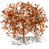 Image h�berg�e par Casimages.com : votre h�bergeur d images simple et gratuit