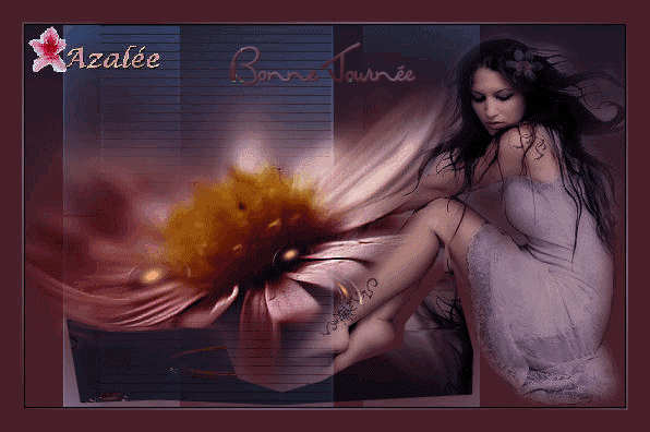 Image h�berg�e par Casimages.com : votre h�bergeur d images simple et gratuit