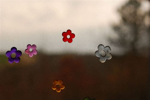 Image hébergée par Casimages.com : votre hébergeur d images simple et gratuit
