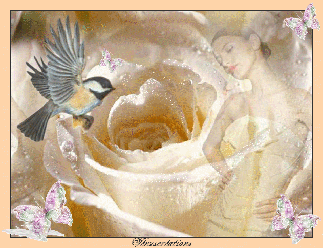 Image hébergée par Casimages.com : votre hébergeur d images simple et gratuit
