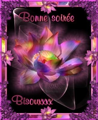 Image hébergée par Casimages.com : votre hébergeur d images simple et gratuit