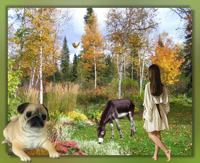 Image hébergée par Casimages.com : votre hébergeur d images simple et gratuit