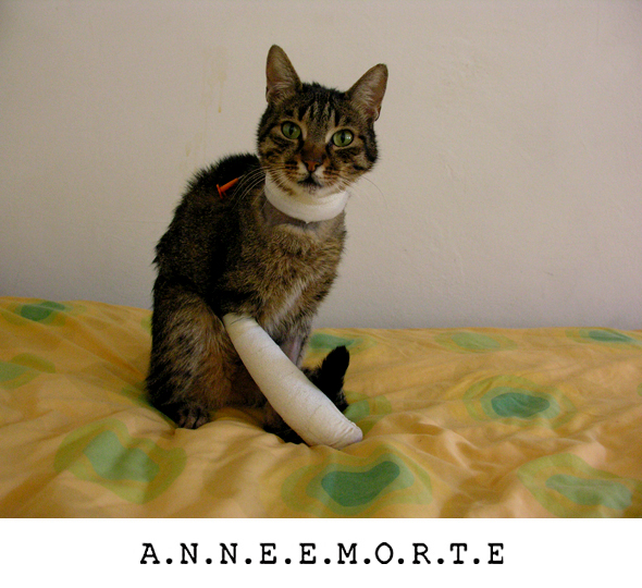 Image hébergée par Casimages.com : votre hébergeur d images simple et gratuit