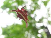http://nsm01.casimages.com/img/2008/09/07//mini_080907034723399372467348.jpg