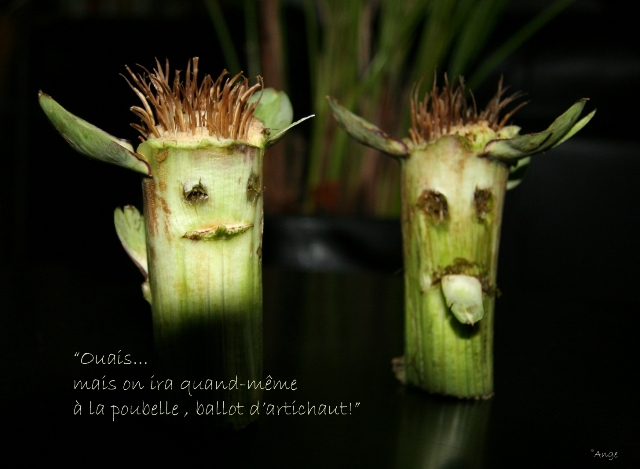 Image hébergée par Casimages.com : votre hébergeur d images simple et gratuit