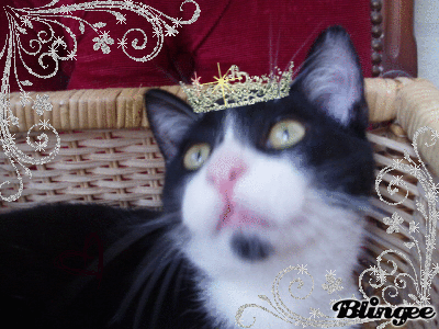 Image h�berg�e par Casimages.com : votre h�bergeur d images simple et gratuit