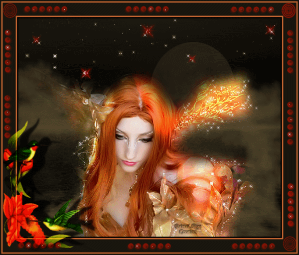 Image h�berg�e par Casimages.com : votre h�bergeur d images simple et gratuit