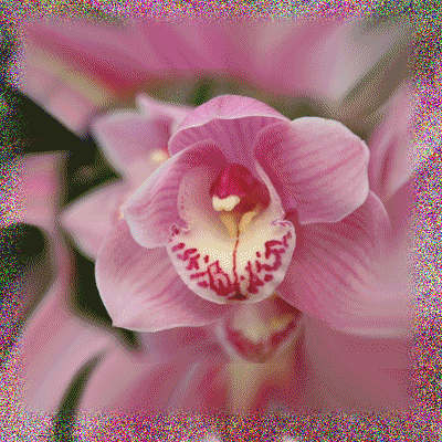 Image hébergée par Casimages.com : votre hébergeur d images simple et gratuit