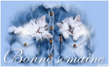 Image hébergée par Casimages.com : votre hébergeur d images simple et gratuit