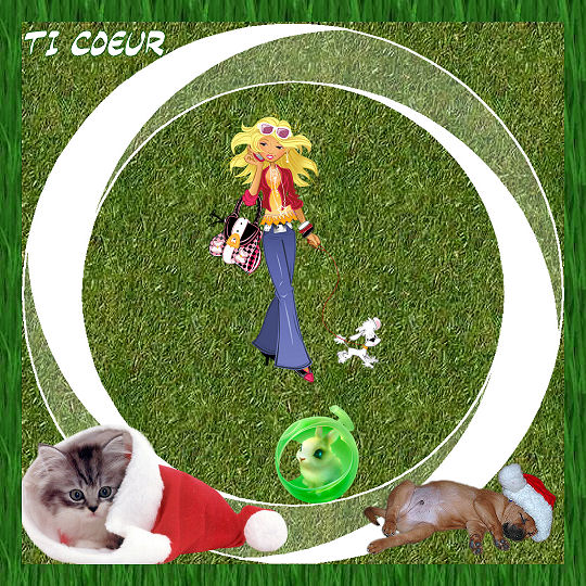 Image hébergée par Casimages.com : votre hébergeur d images simple et gratuit