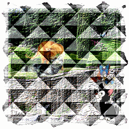 Image hébergée par Casimages.com : votre hébergeur d images simple et gratuit