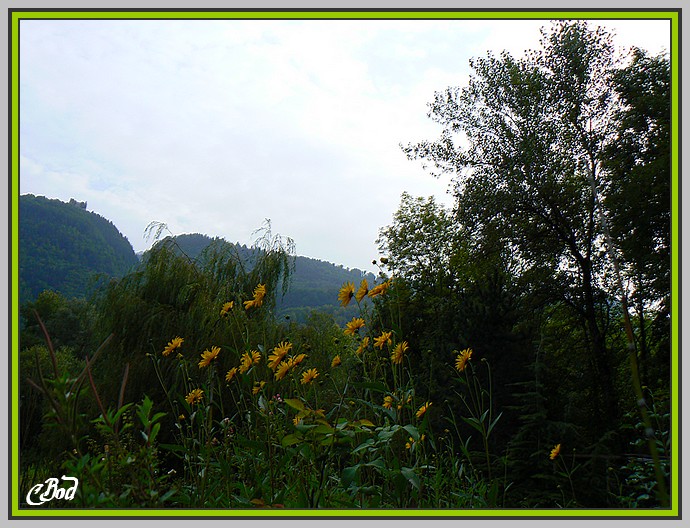 Image h�berg�e par Casimages.com : votre h�bergeur d images simple et gratuit