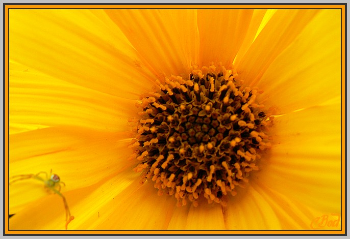 Image h�berg�e par Casimages.com : votre h�bergeur d images simple et gratuit