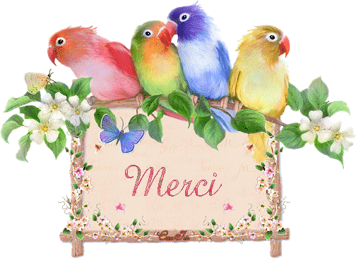 voir l'image en taille réelle