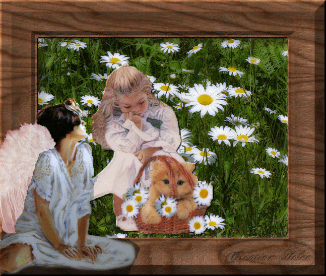 Image hébergée par Casimages.com : votre hébergeur d images simple et gratuit