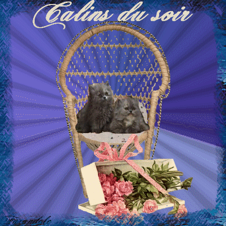 voir l'image en taille réelle
