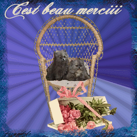 voir l'image en taille réelle