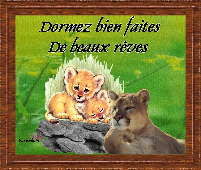 voir l'image en taille réelle