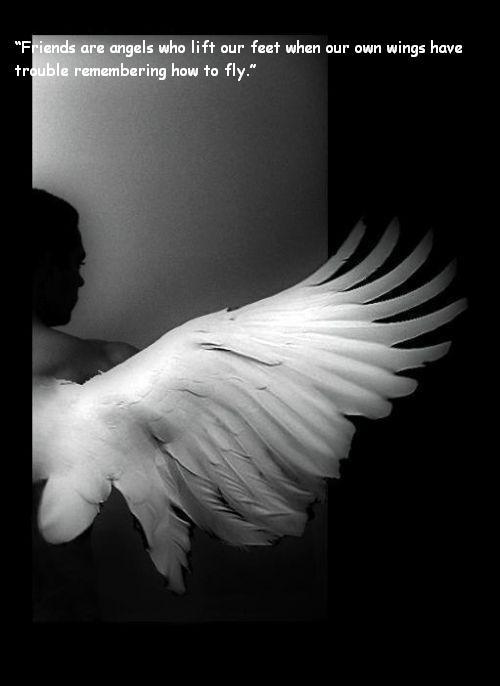 Image hébergée par Casimages.com : votre hébergeur d images simple et gratuit