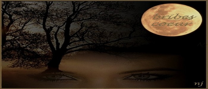 1218401923_w.moon2B.jpg