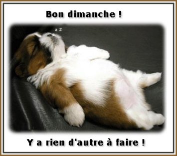 Image hébergée par Casimages.com : votre hébergeur d images simple et gratuit