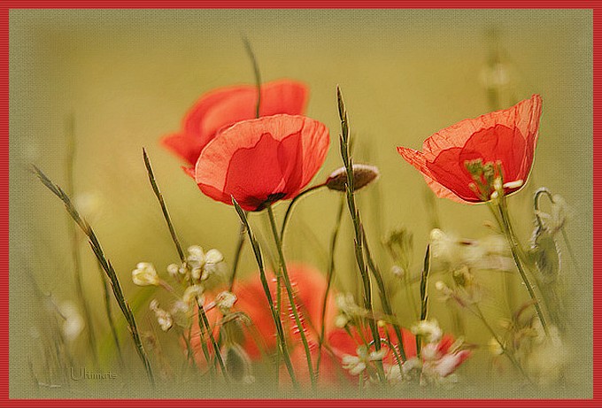 Image hébergée par Casimages.com : votre hébergeur d images simple et gratuit