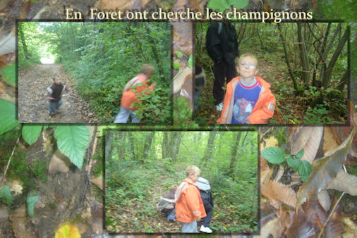 Image hébergée par Casimages.com : votre hébergeur d images simple et gratuit
