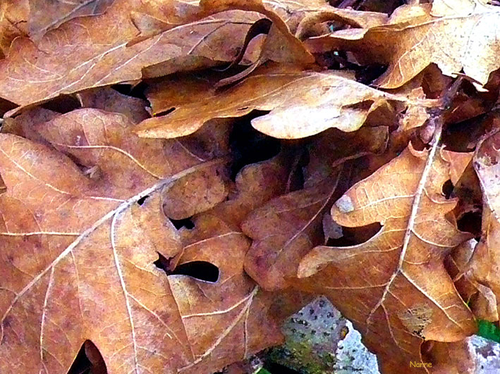 Image hébergée par Casimages.com : votre hébergeur d images simple et gratuit