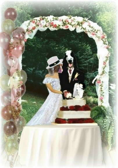 Image hébergée par Casimages.com : votre hébergeur d images simple et gratuit