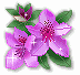 Image hébergée par Casimages.com : votre hébergeur d images simple et gratuit