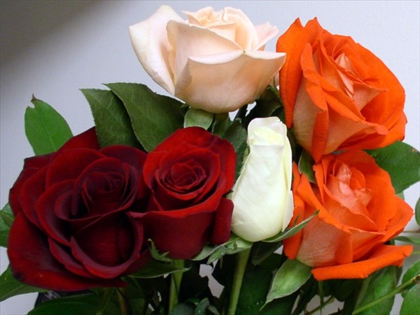 Image hébergée par Casimages.com : votre hébergeur d images simple et gratuit