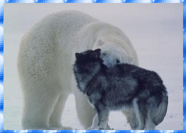 Image h&eacute;berg&eacute;e par Casimages.com : votre h&eacute;bergeur d images simple et gratuit