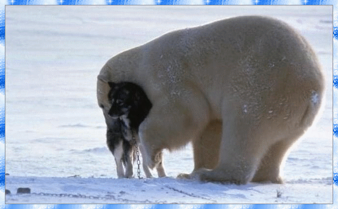 Image hébergée par Casimages.com : votre hébergeur d images simple et gratuit