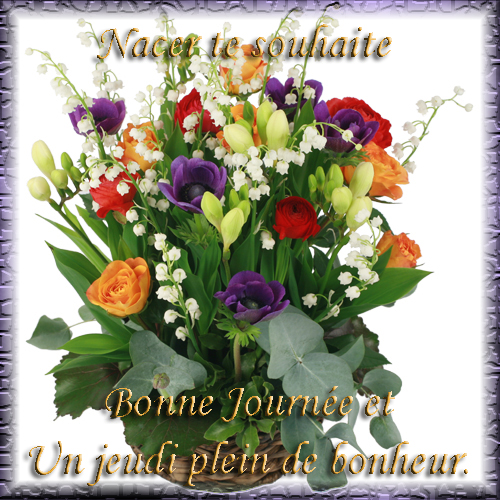 voir l'image en taille réelle