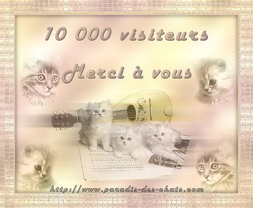 10 000 visiteurs