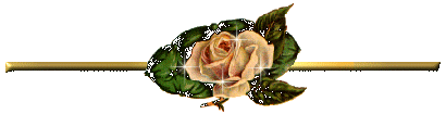 voir l'image en taille r�elle