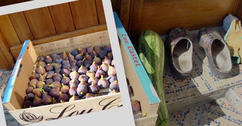 Image hébergée par Casimages.com : votre hébergeur d images simple et gratuit