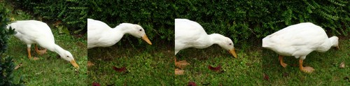 Image hébergée par Casimages.com : votre hébergeur d images simple et gratuit